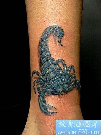 点击大图看下一张：蝎子纹身图片：腿部彩色蝎子纹身图案