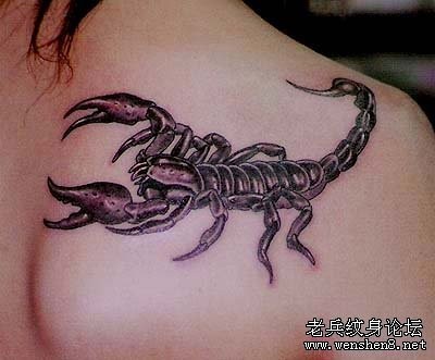 点击大图看下一张：一张经典流行美女肩部蝎子纹身图案