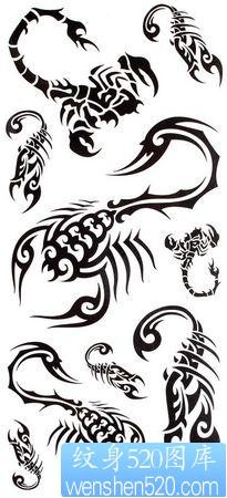 点击大图看下一张：蝎子纹身图片：几款超帅的图腾蝎子纹身图案