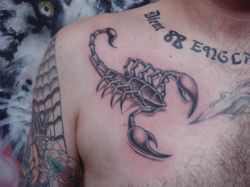 点击大图看下一张：男人胸部时尚的蝎子纹身图2