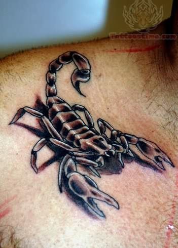 点击大图看下一张：男人胸部时尚的蝎子纹身图4