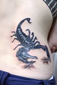 点击大图看下一张：一只蝎子“寄居”在腰部图2