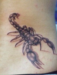 霸气的蝎子纹身图案