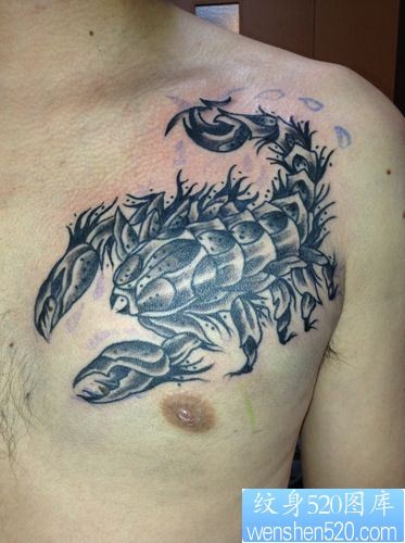 点击大图看下一张：胸前蝎子纹身图案