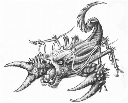 点击大图看下一张：帅气时尚的蝎子纹身手稿图3