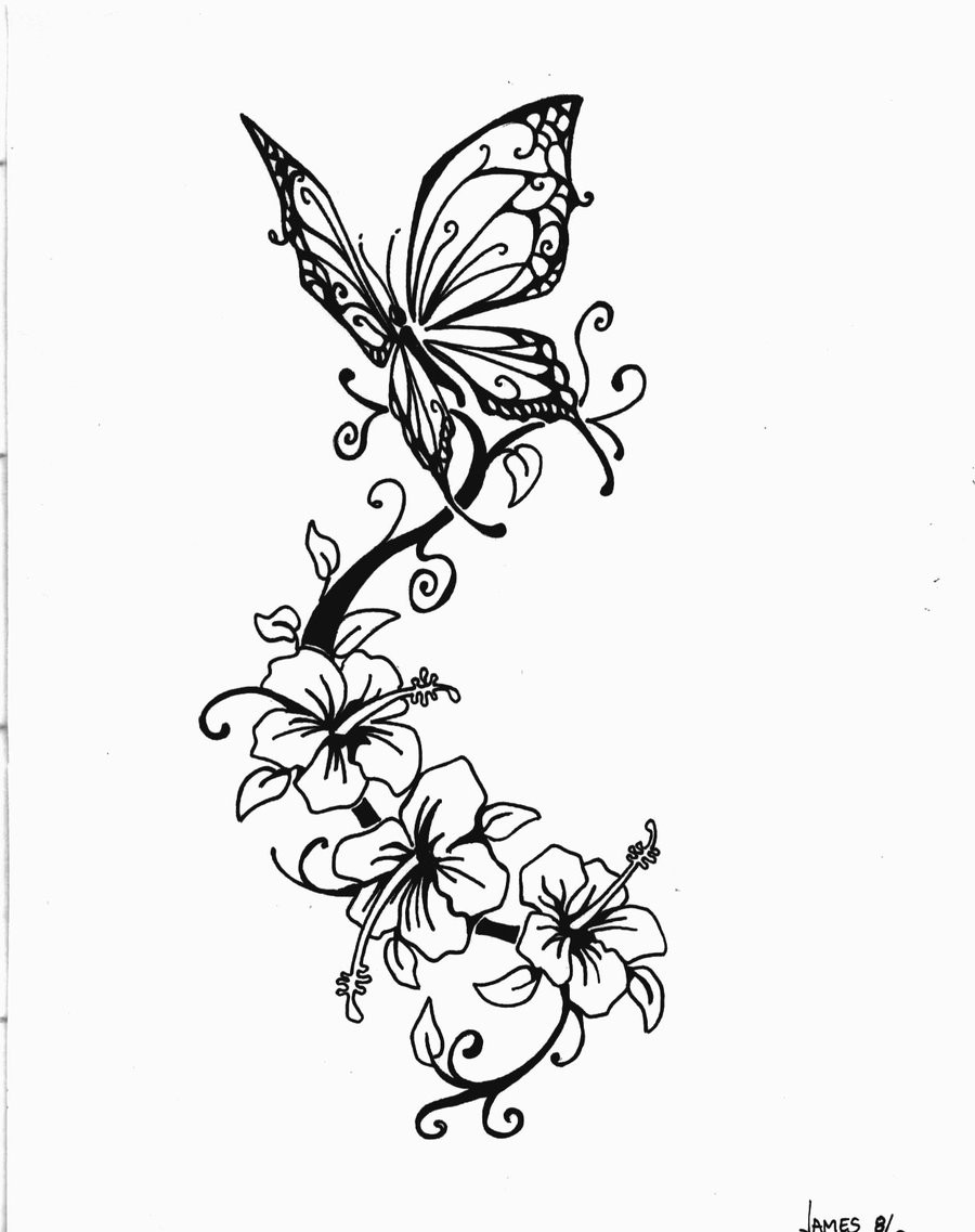 点击大图看下一张：漂亮唯美的蝴蝶手稿图2