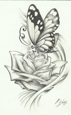 点击大图看下一张：漂亮唯美的蝴蝶手稿图4