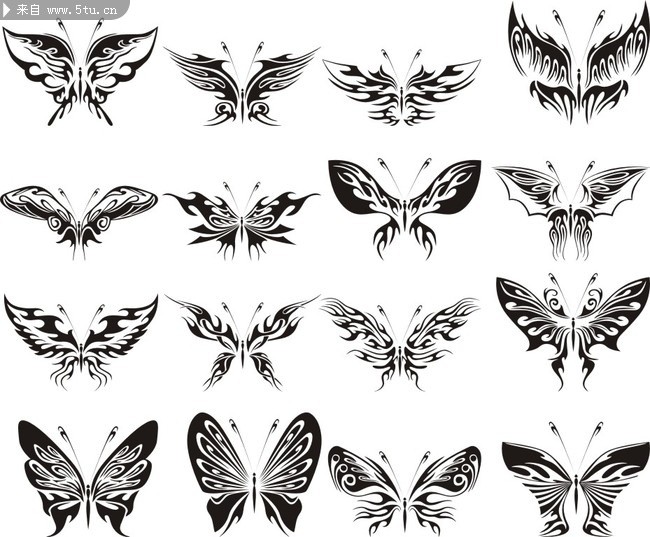 点击大图看下一张:蝴蝶纹身手稿素材图9