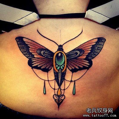 点击大图看下一张：女性背部school蝴蝶纹身图案