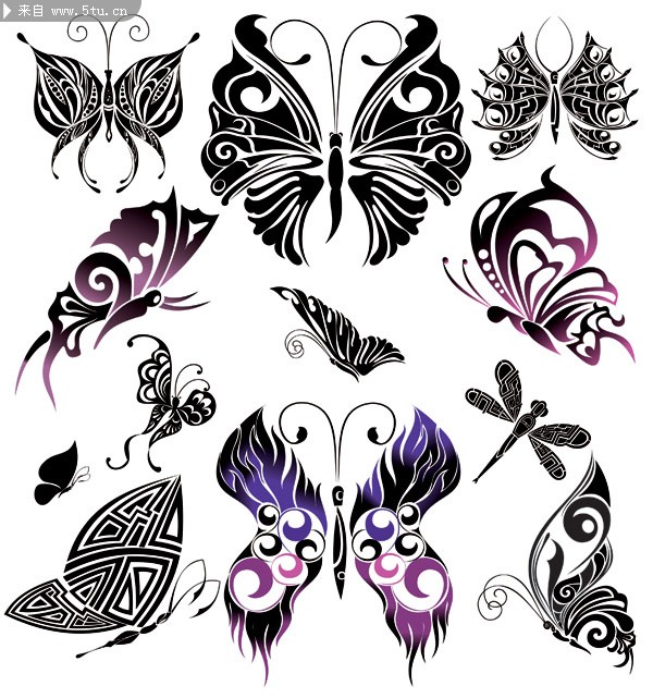 点击大图看下一张：蝴蝶纹身手稿素材图11