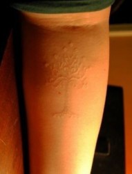 手臂一幅白色小树纹身图片