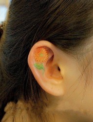 女人耳部小巧的花卉纹身图片