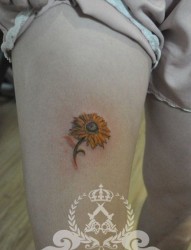 女人腿部彩色小向日葵花纹身图片