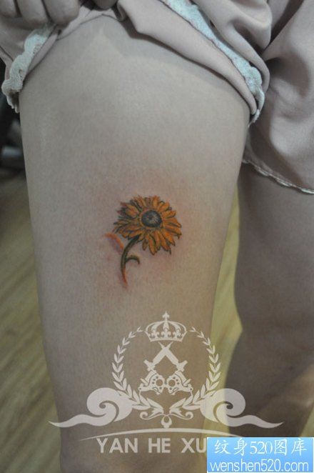 点击大图看下一张：女人腿部彩色小向日葵花纹身图片