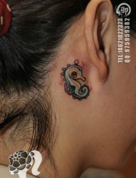 女人耳部小海马纹身图片