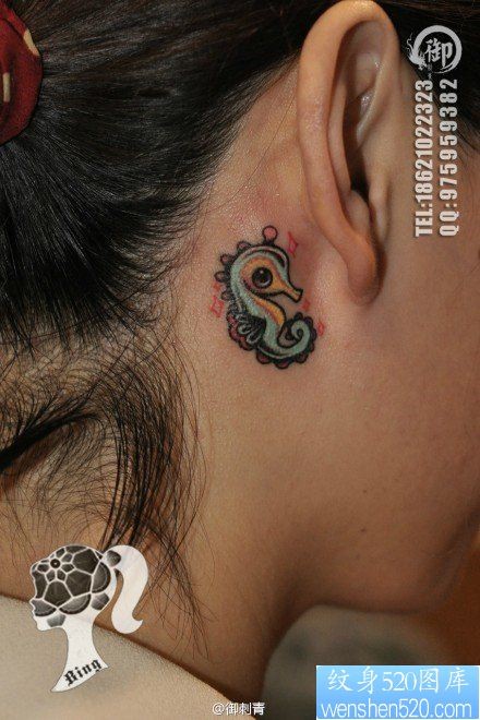 点击大图看下一张：女人耳部小海马纹身图片