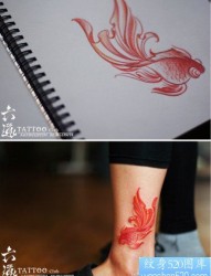 腿部一幅彩色小金鱼纹身图片
