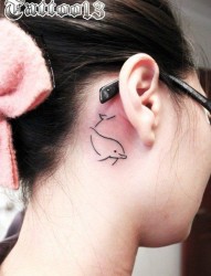女人耳部小巧时尚的图腾小海豚纹身图片