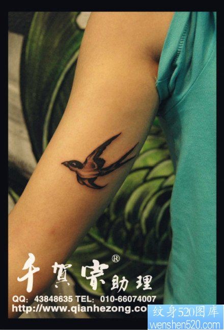 点击大图看下一张：女人手臂内侧小巧时尚的燕子纹身图片