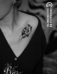 女人锁骨处潮流经典的蝙蝠纹身图片