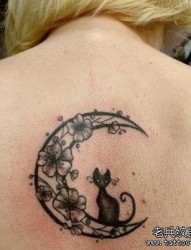 女人后背潮流经典的月亮与小猫咪纹身图片