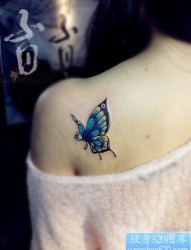 女人肩背小巧时尚的蝴蝶纹身图片