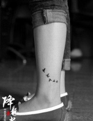女人腿部唯美时尚的麦穗纹身图片
