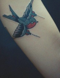 手臂可爱经典的小燕子纹身图片