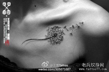 点击大图看下一张：女人胸前唯美小巧的蒲公英纹身图片