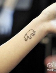 女人手臂可爱小巧的小象纹身图片