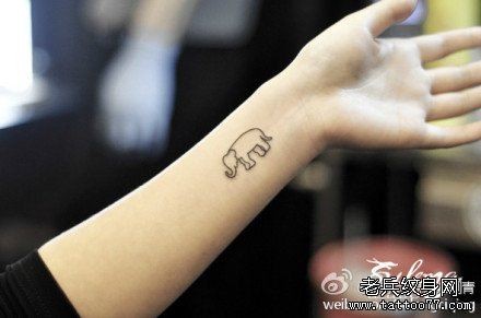 点击大图看下一张：女人手臂可爱小巧的小象纹身图片