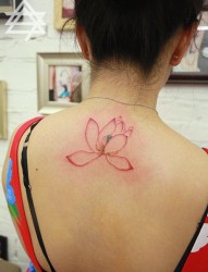 美女后背上的一幅简约老莲花纹身图片