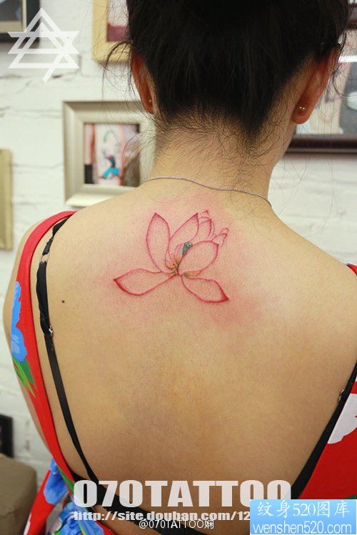 点击大图看下一张：美女后背上的一幅简约老莲花纹身图片