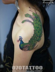 美女肩膀上一幅漂亮凤凰纹身图片