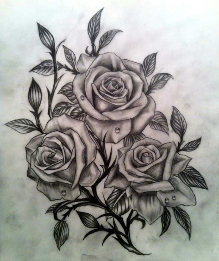 点击大图看下一张：唯美漂亮的玫瑰手稿图2