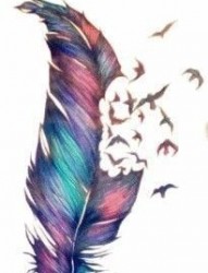 非常漂亮的羽毛纹身