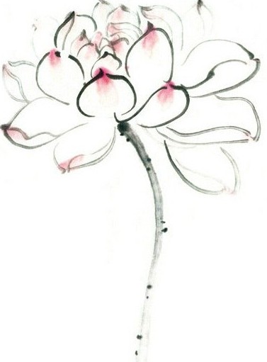 点击大图看下一张：清新唯美的莲花手稿图3