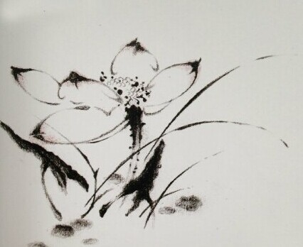 点击大图看下一张：清新唯美的莲花手稿图6