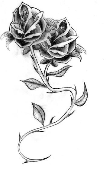 点击大图看下一张：漂亮唯美的玫瑰手稿