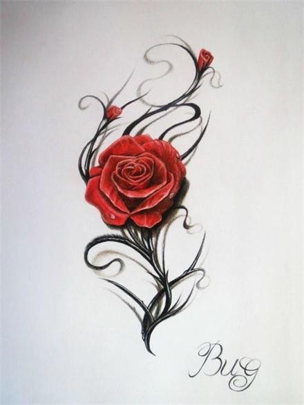 点击大图看下一张：漂亮唯美的玫瑰手稿图2