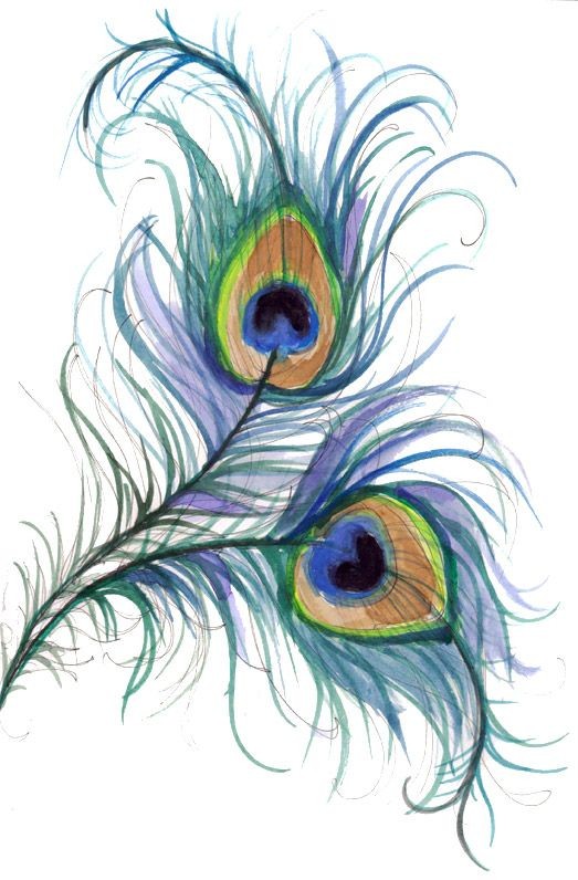 点击大图看下一张：漂亮好看的孔雀羽毛纹身