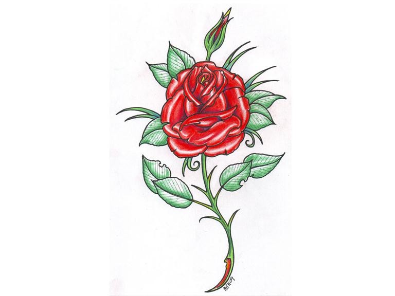 点击大图看下一张：漂亮唯美的玫瑰手稿图4