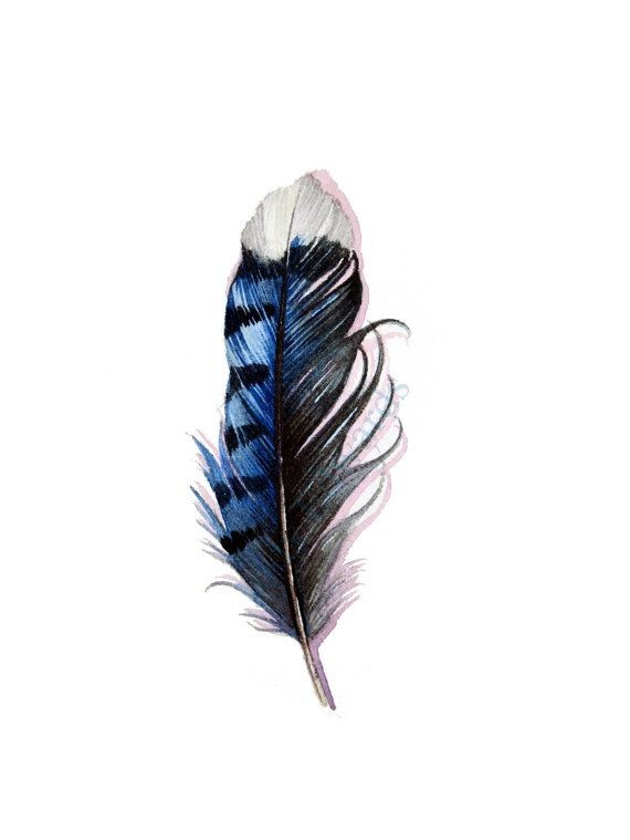 点击大图看下一张：时尚漂亮的彩色羽毛纹身手稿