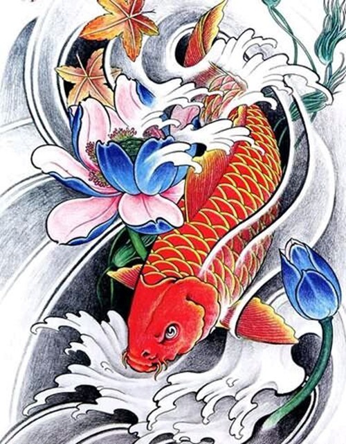 点击大图看下一张：彩色鲤鱼纹身手稿图2