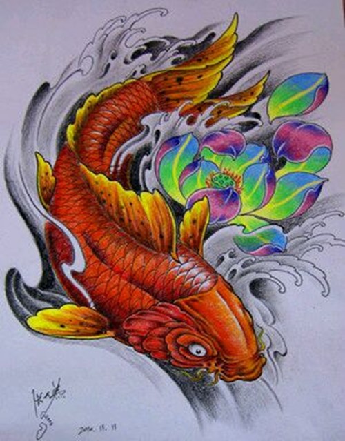 点击大图看下一张：彩色鲤鱼纹身手稿图6