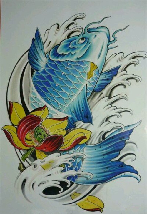 点击大图看下一张：彩色鲤鱼纹身手稿图7