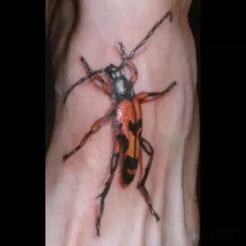 点击大图看下一张：效果逼真的昆虫纹身图4