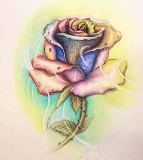 点击大图看下一张：娇艳玫瑰纹身手稿欣赏