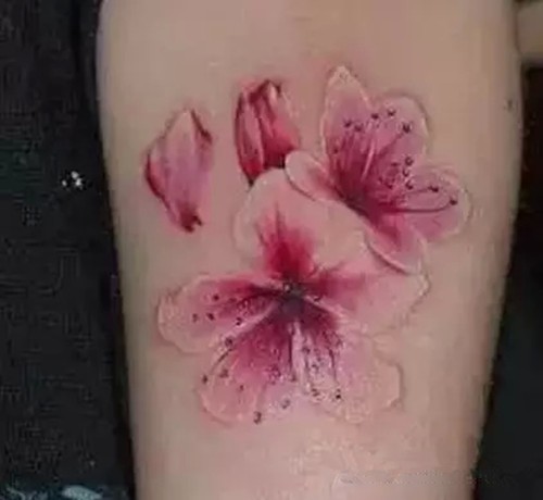 点击大图看下一张：浪漫唯美的樱花纹身图5