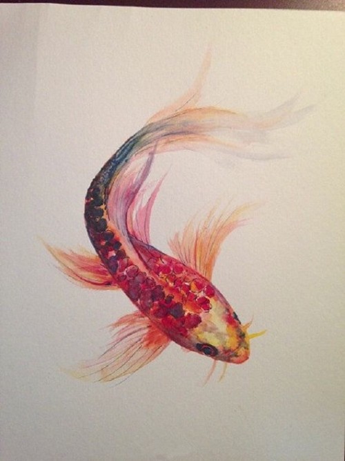 点击大图看下一张：水彩纹身鱼手稿素材欣赏图8